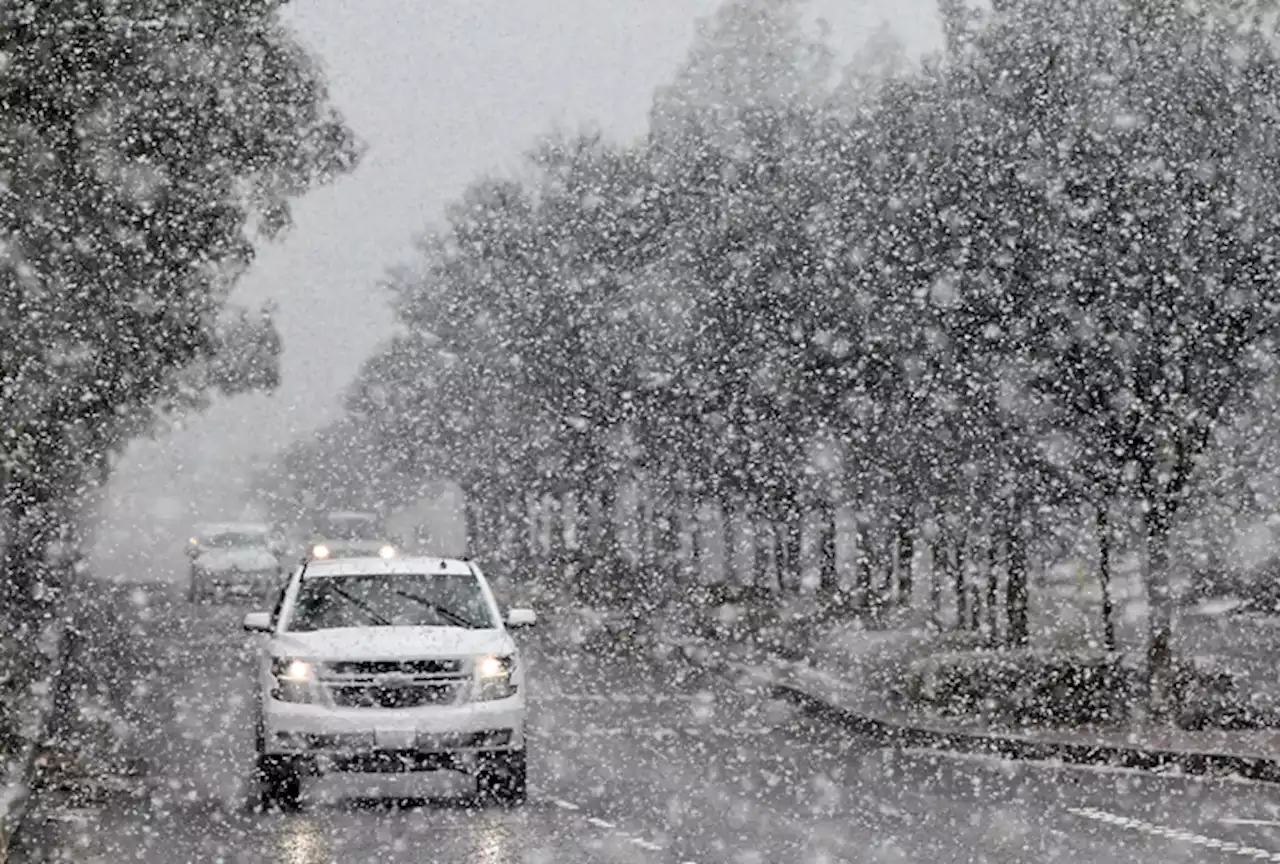 Los Angeles area blanketed by snow in rare heavy storm | John Antczak & Ken Kusmer / The Associated Press