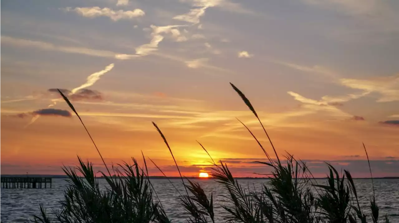A breezy day to kickstart the week – Monday weather forecast