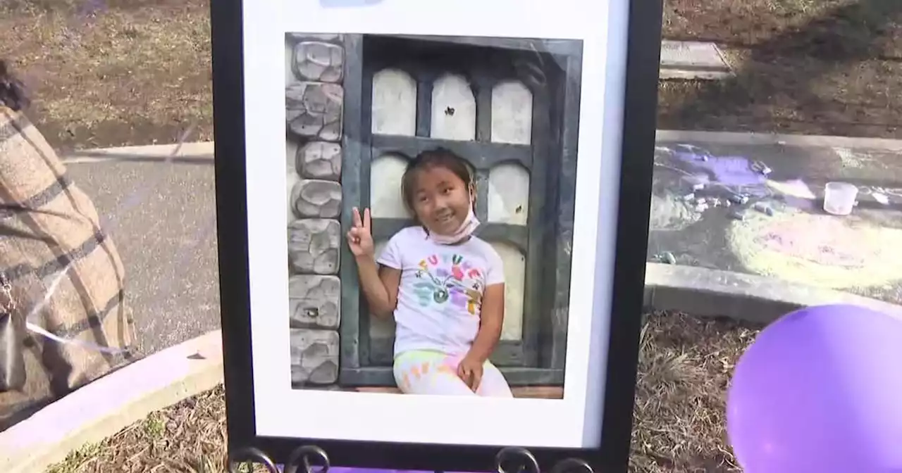 Family members, lawmakers demand stop light at Queens intersection where 7-year-old was killed