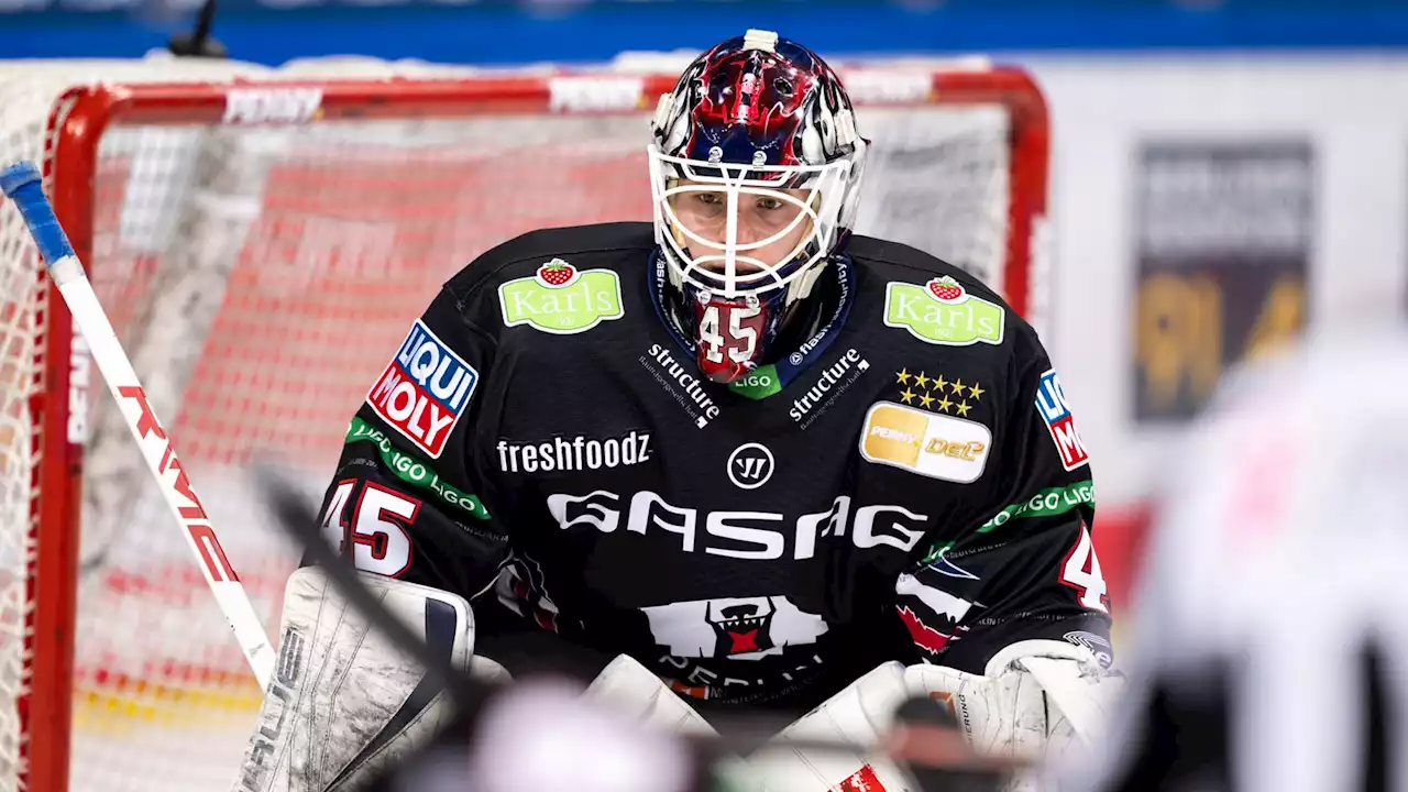 Eisbären-Torwart Ancicka wechselt nach Köln