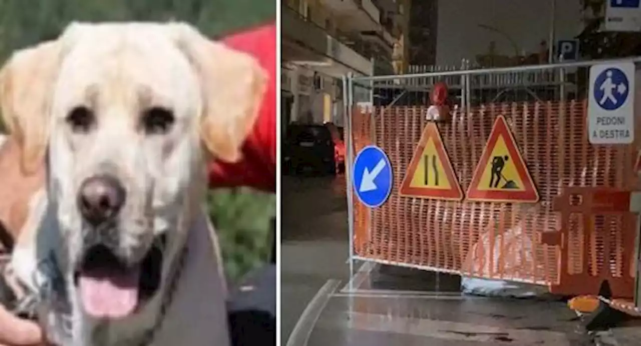 Cane cade nel tombino e resta folgorato: mezza città di San Benedetto finisce al buio