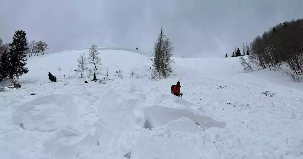 Search and rescue efforts ongoing to locate snowmobiler buried by avalanche Saturday in Conejos County