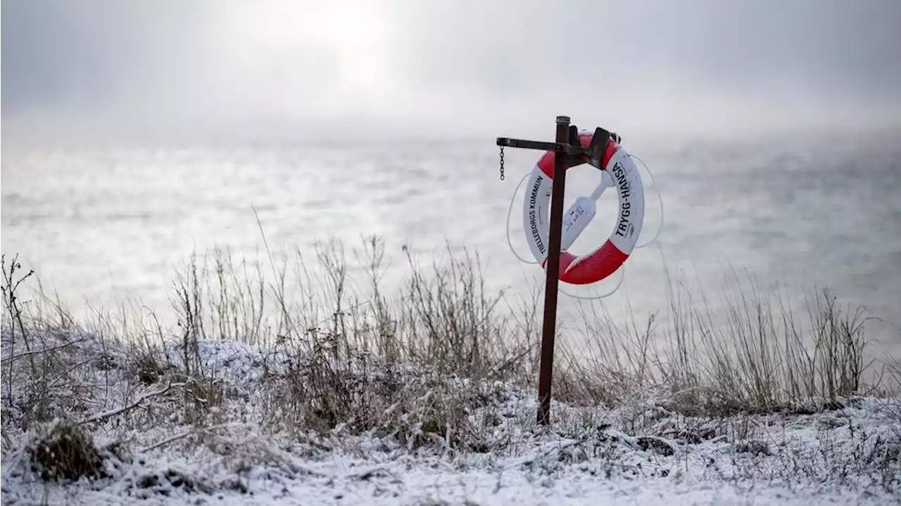 Sverige måste säkra skydd för världens hav