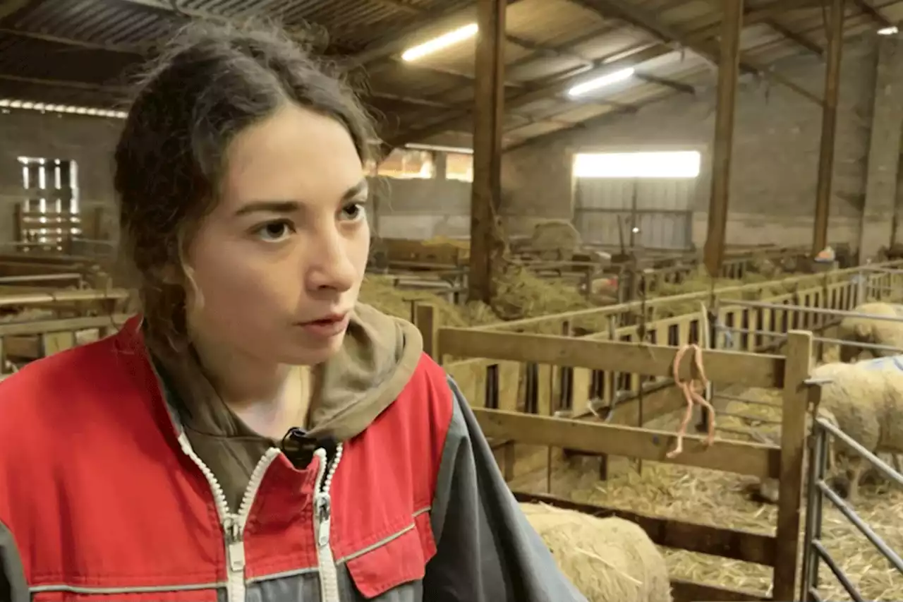 Salon de l'agriculture : une éleveuse du Lot élue meilleure jeune bergère de France