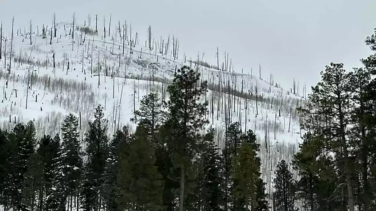 Avalanche in Colorado buries, kills 2 backcountry skiers