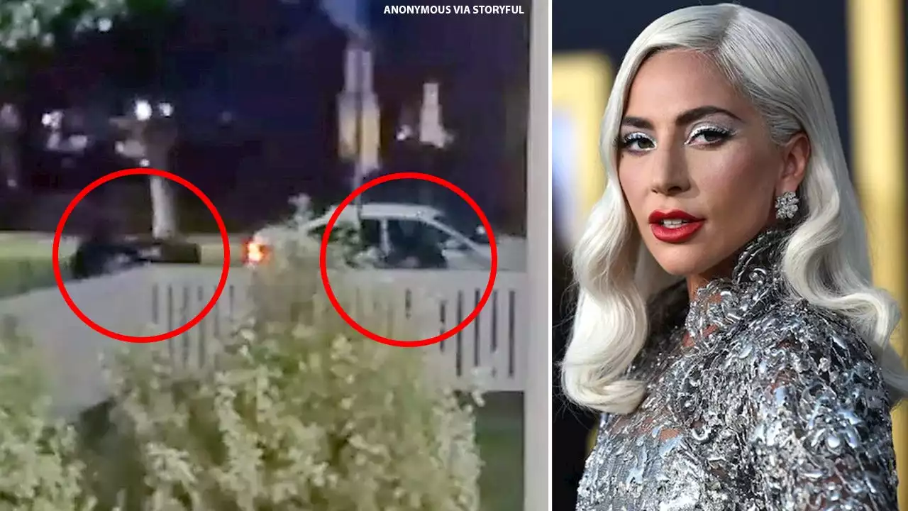 Lady Gaga sued by accomplice in dog theft for withholding $500,000 reward money after returning dogs