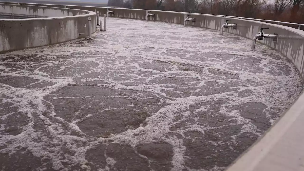 Sécheresse : qu'est-ce que l'eau grise, cette solution pour arroser les champs ?