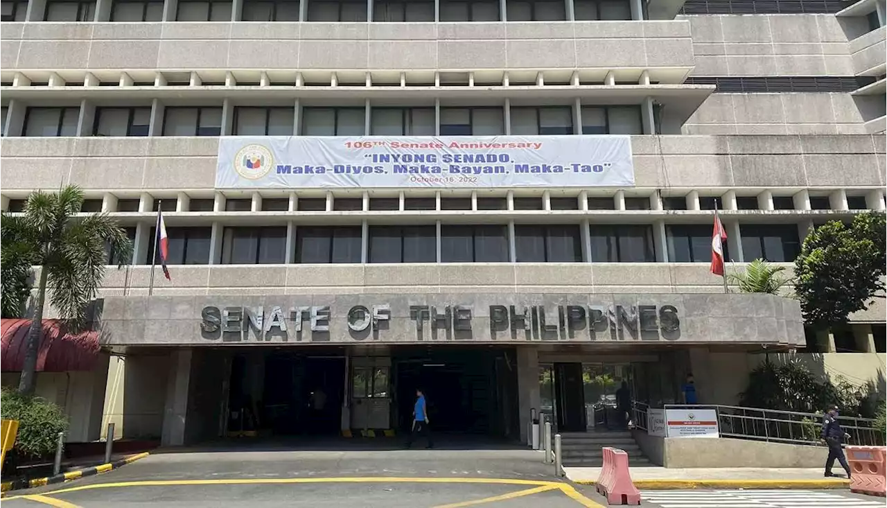 Senate panel ends hearing on Maharlika Fund bills