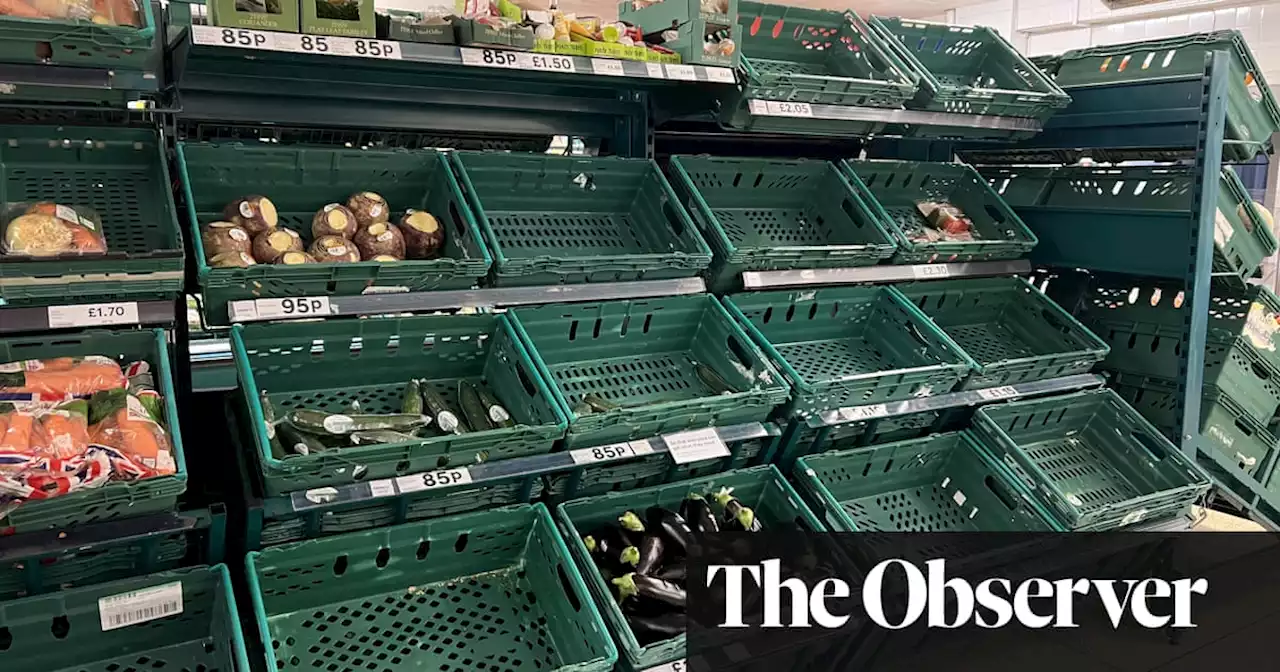 Yes, we have no tomatoes: Why shelves are emptying in UK stores