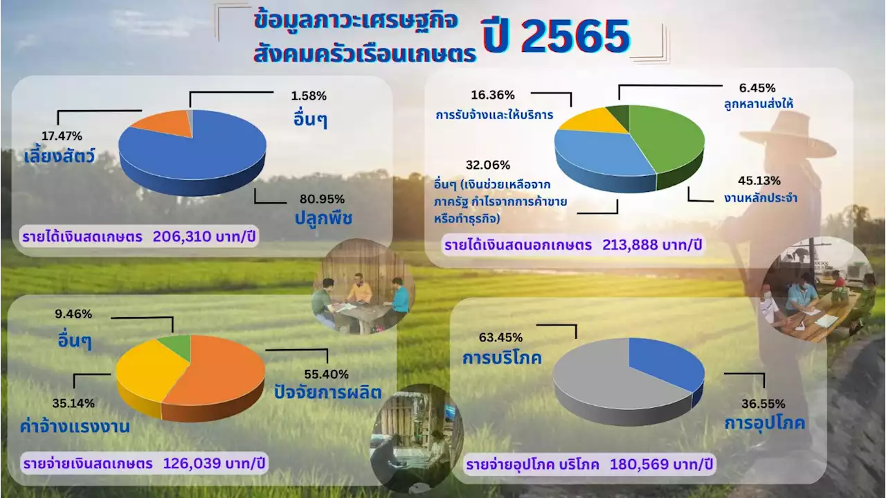 สศก. เผยปี 64/65 เกษตรกรมีรายได้เงินสดเฉลี่ยทั้งปีแค่ 8 หมื่นบาท : อินโฟเควสท์