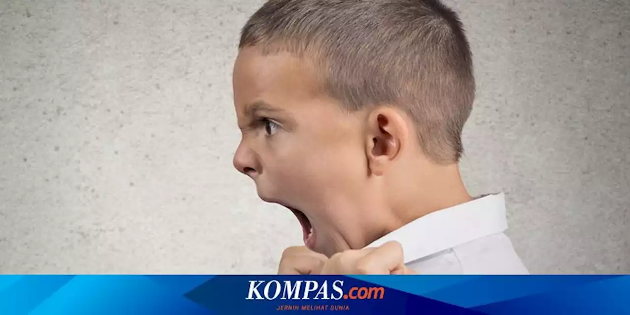 7 Penyebab Anak Menjadi Pelaku Kekerasan dan Pencegahannya