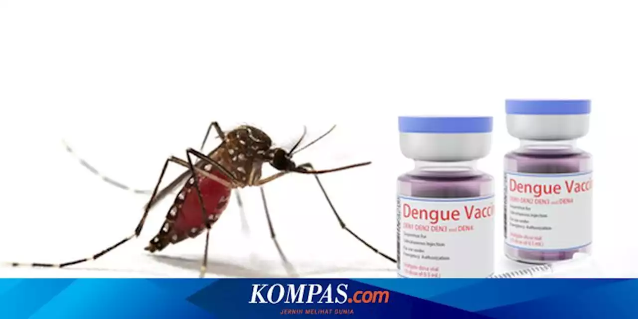 Mengenal Imunisasi Dengue untuk Mencegah Demam Berdarah (DBD)