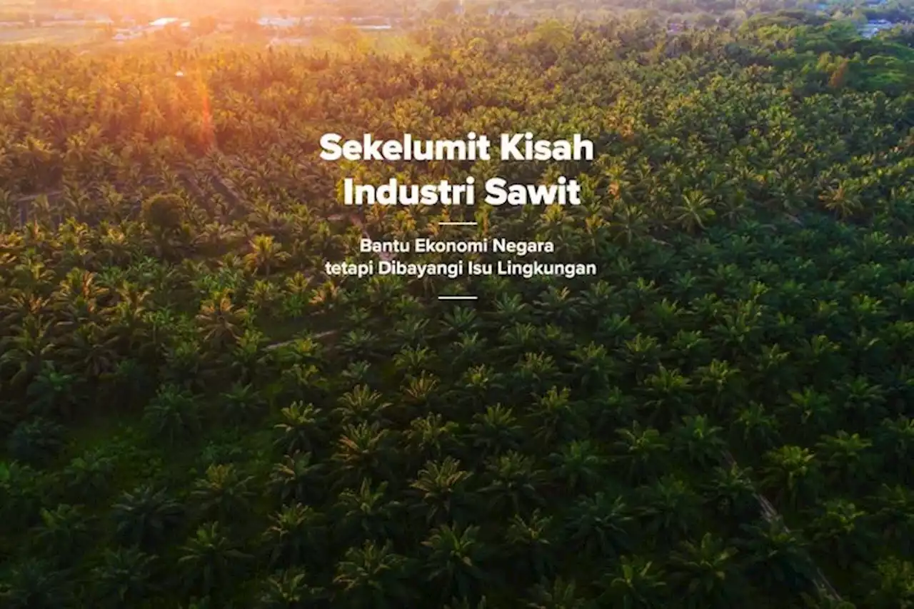 Sekelumit Kisah Industri Sawit: Bantu Ekonomi Negara, Tetapi Dibayangi Isu Lingkungan - JEO Kompas.com