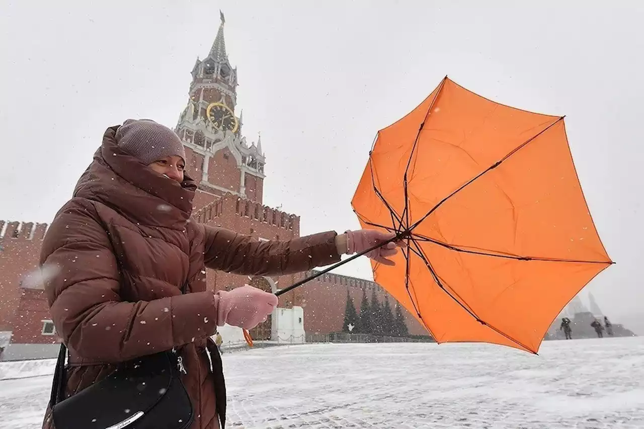 «Желтый» уровень погодной опасности объявлен в Москве на 28 февраля из-за сильного ветра