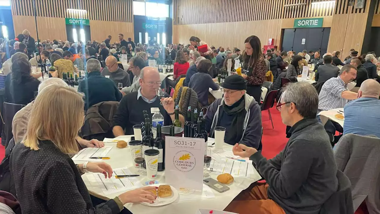 Les vins de Fronton moissonnent les médailles au Concours Général Agricole de Paris