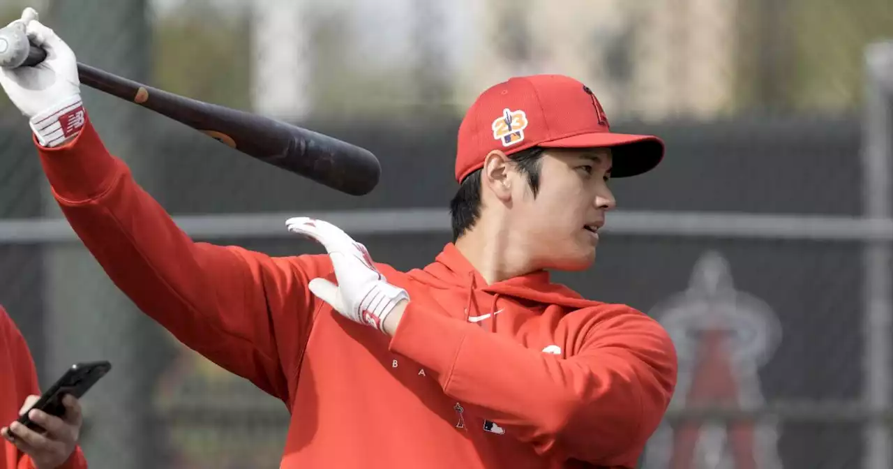 Even a Shohei Ohtani batting practice session is a spectacle to behold