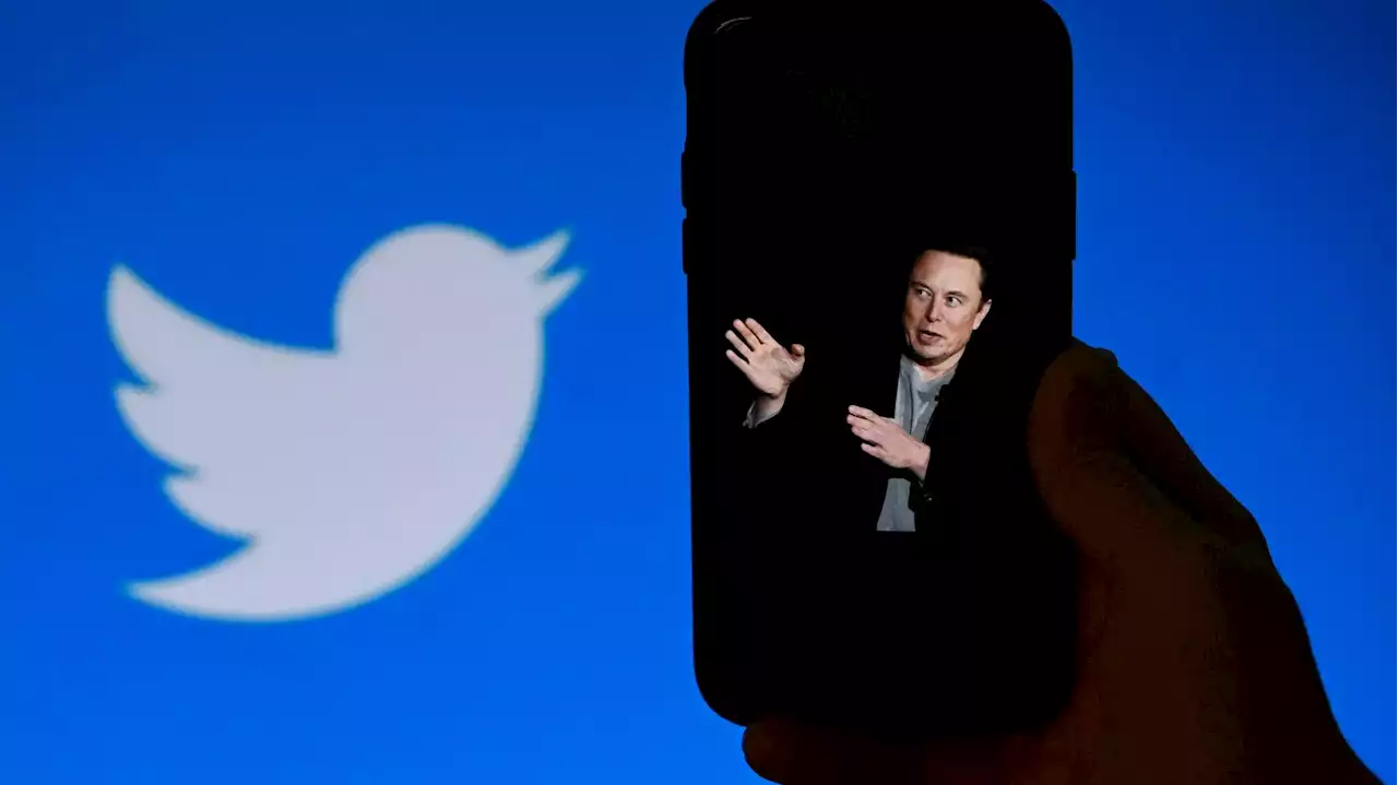 Cette figure de Twitter et fidèle soutien d’Elon Musk a finalement été licenciée