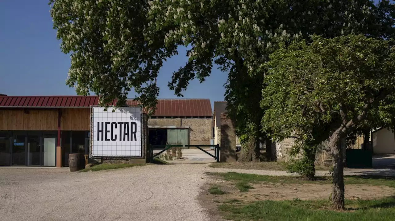 Agriculture : Hectar connecte coopératives et entrepreneurs