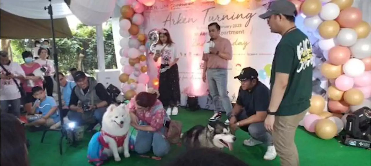 Malamute Husky Indonesia Gelar Kompetisi dan Edukasi Lewat Pawlentine Day di HUT ke-2