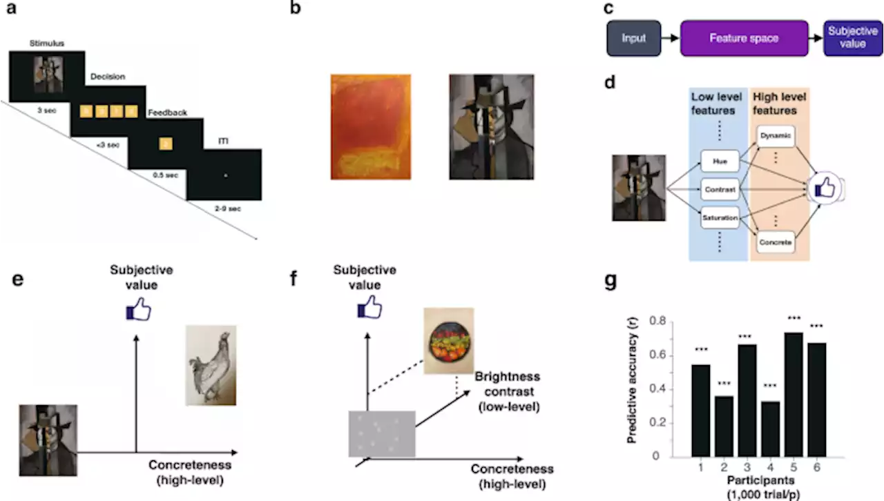 Neural mechanisms underlying the hierarchical construction of perceived aesthetic value - Nature Communications