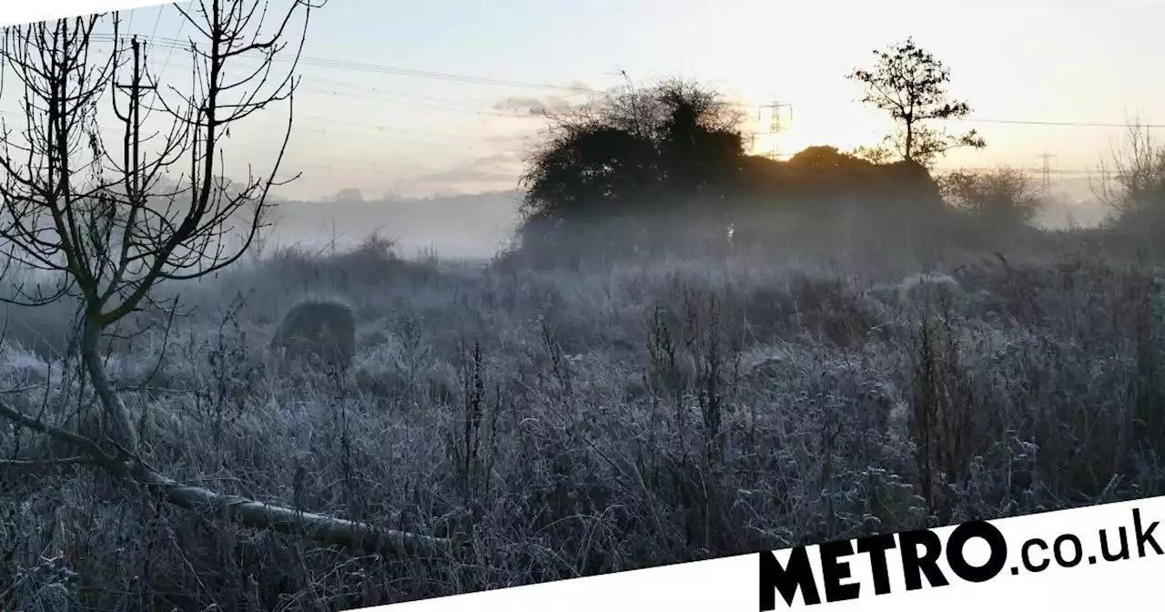 Snow could hit the UK by the end of the week, Met office says