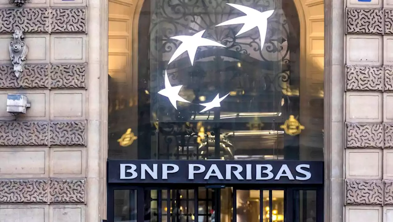 Déforestation : pourquoi la banque BNP Paribas se trouve au centre d'une polémique et d'une action en justice