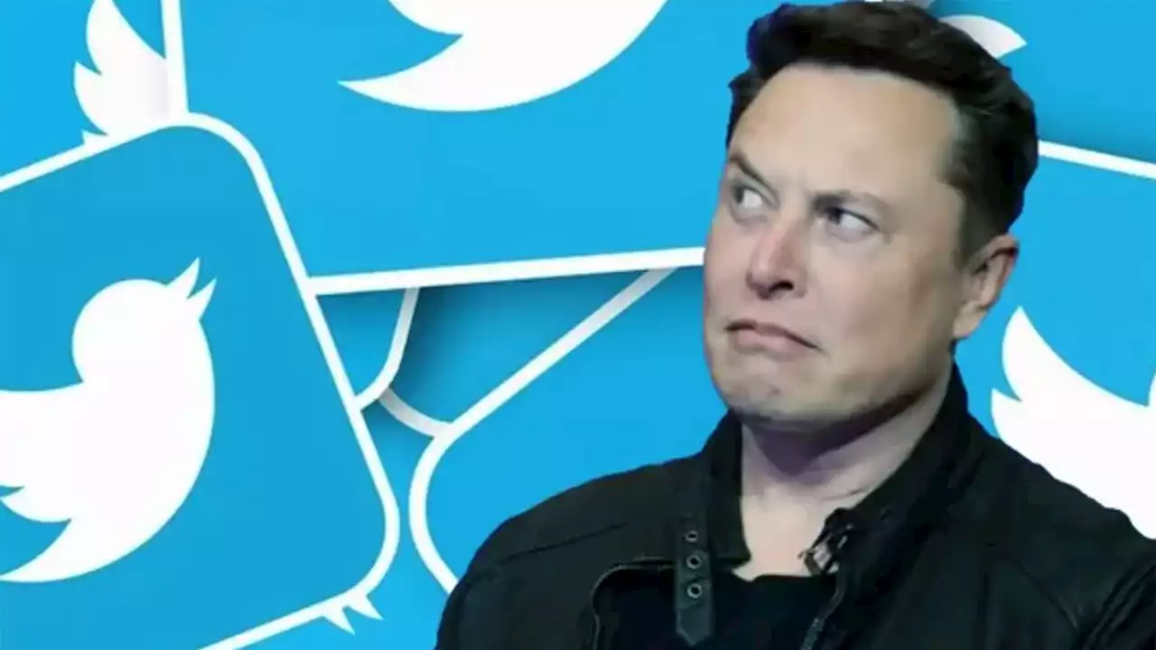 Elon Musk despidió de Twitter a una empleada por dormir la siesta