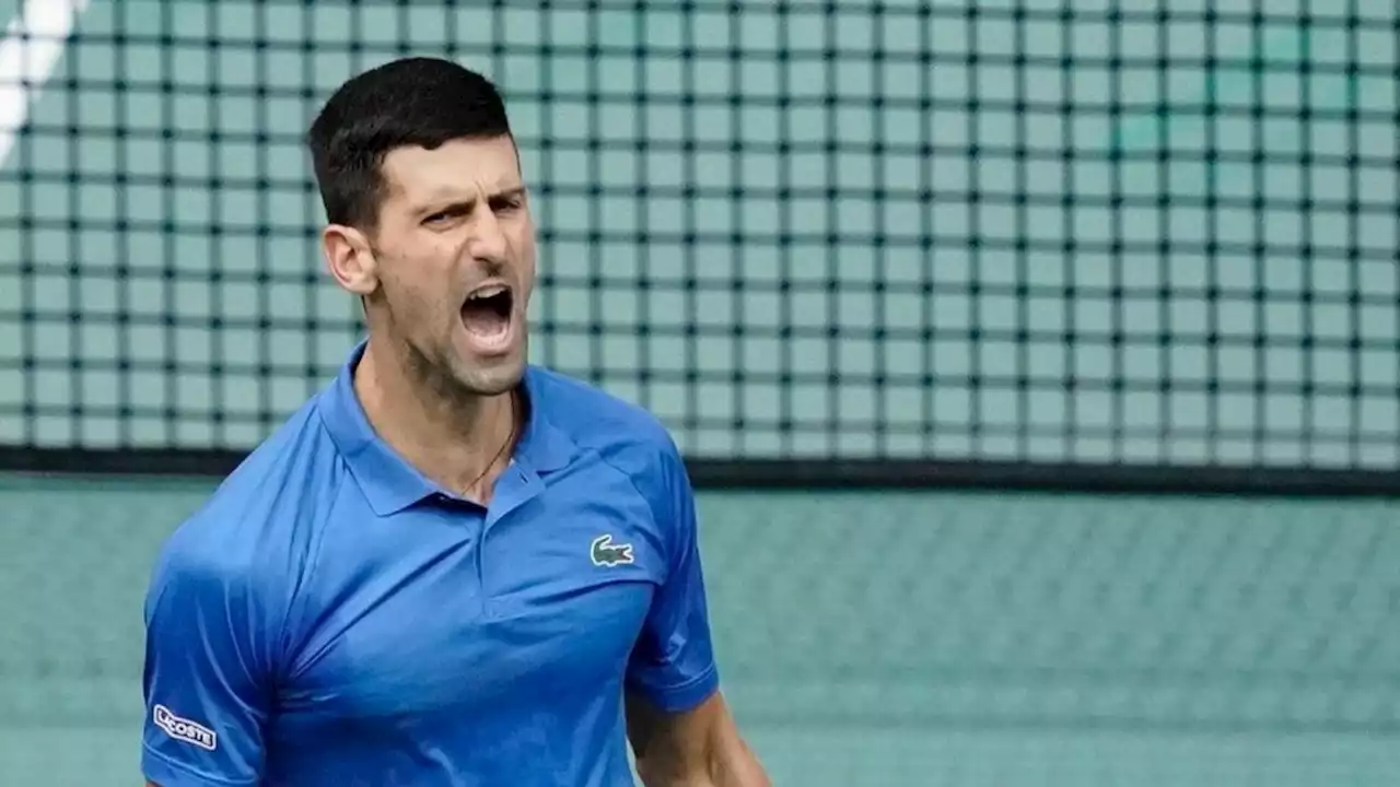 Sigue haciendo historia: el tremendo récord que Novak Djokovic le arrebató a Steffi Graf