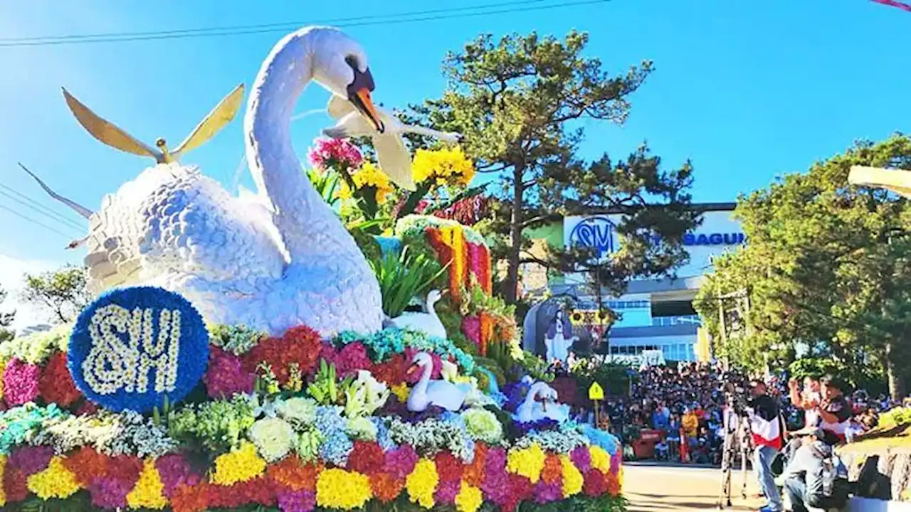 Swan float