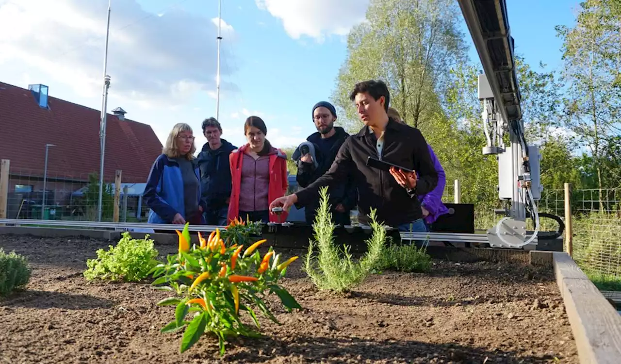 N Klub in Hamburg: Urban Farming per Roboter – ist das die Zukunft?