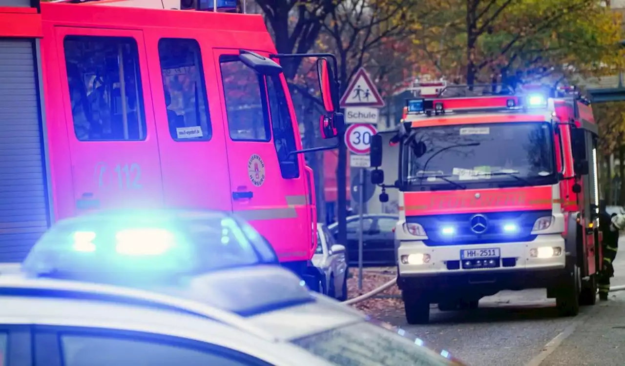 Wohnungen in Hamburg brennen – Feuerwehr rettet Katzen und Frau