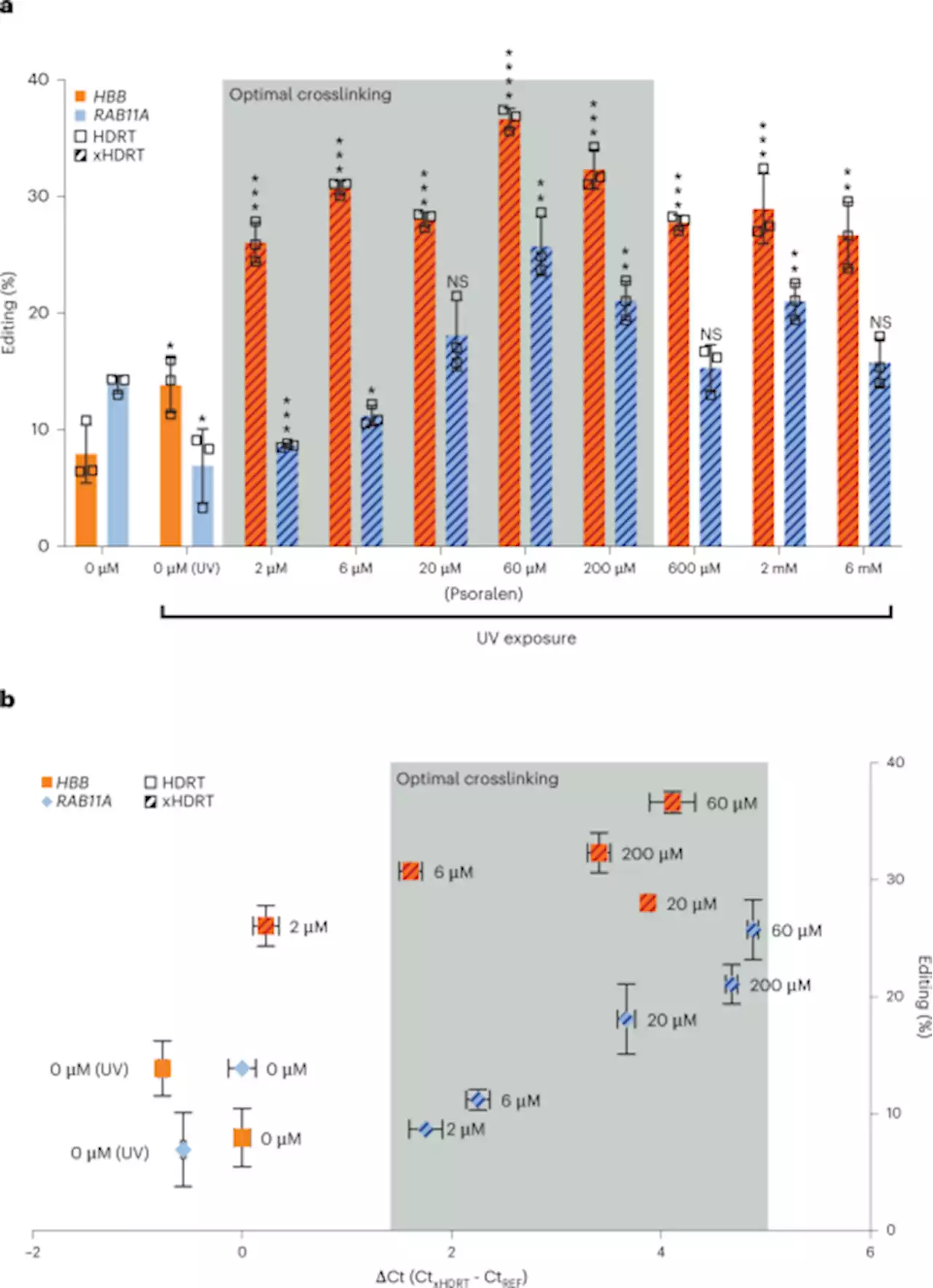 Interstrand crosslinking of homologous repair template DNA enhances gene editing in human cells - Nature Biotechnology