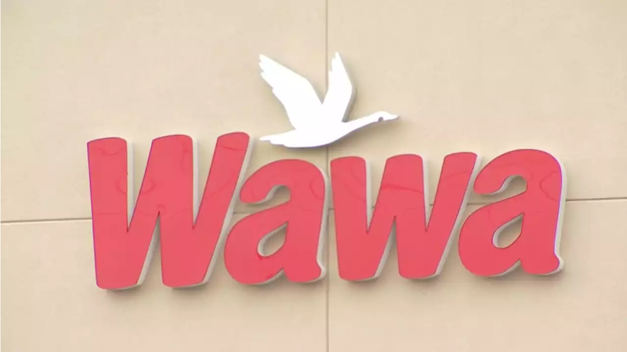 Wawa Offers Free Hoagies, $15/Hour Wages for Summer Workers at Jersey Shore, Delaware Beaches