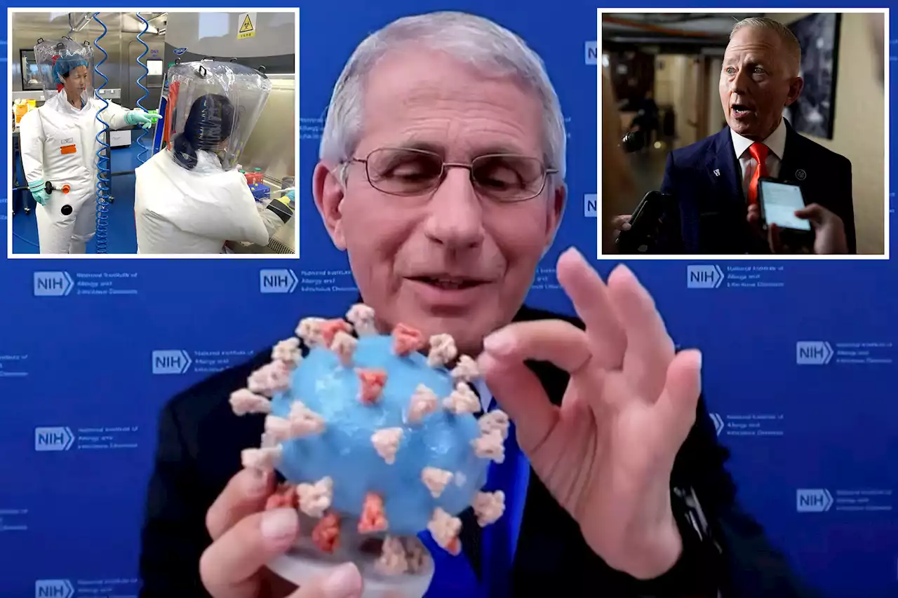 Critics rip Dr. Anthony Fauci after latest Wuhan lab leak findings