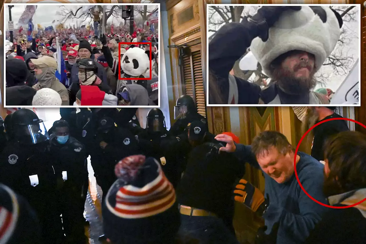 Jan. 6 rioter known as ‘Sedition Panda’ busted: feds