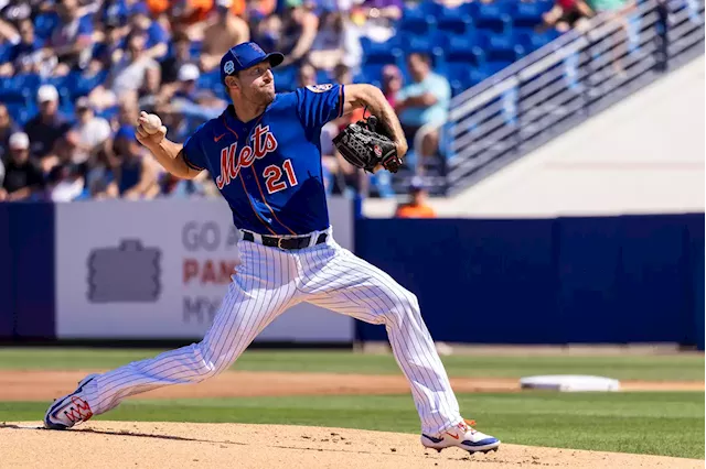 Mets' David Peterson passes first test in sharp spring debut