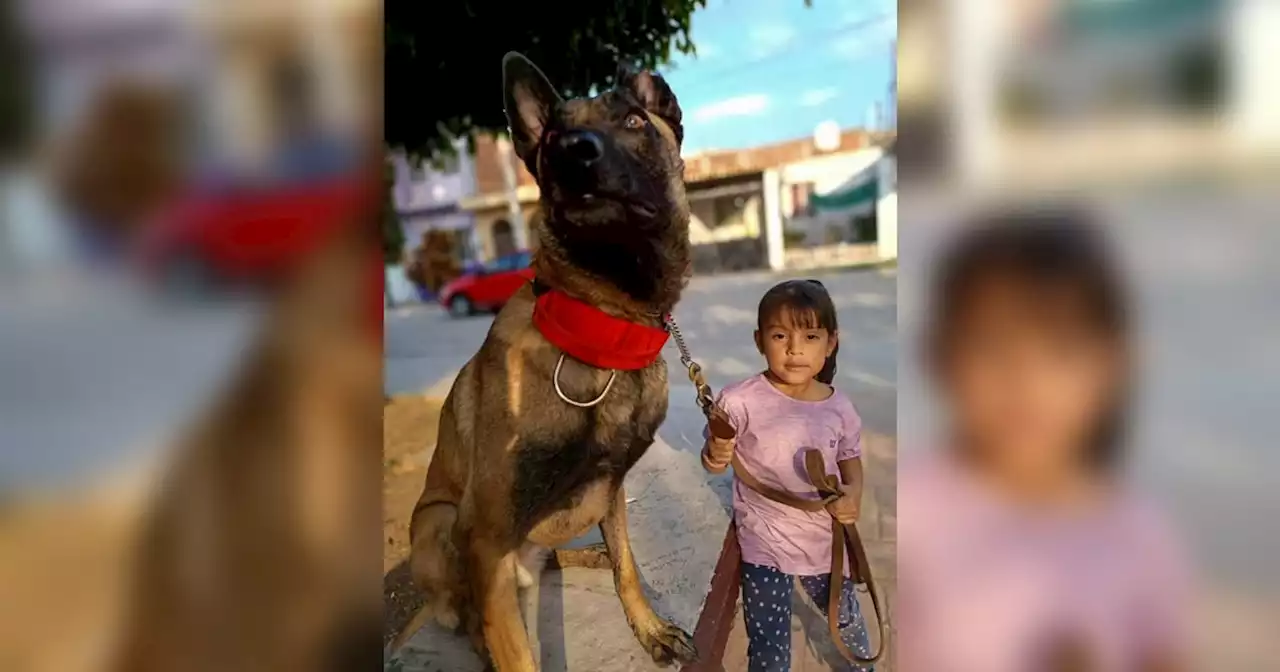 A sus 4 años, Nataly ya es adiestradora de perros en Salamanca