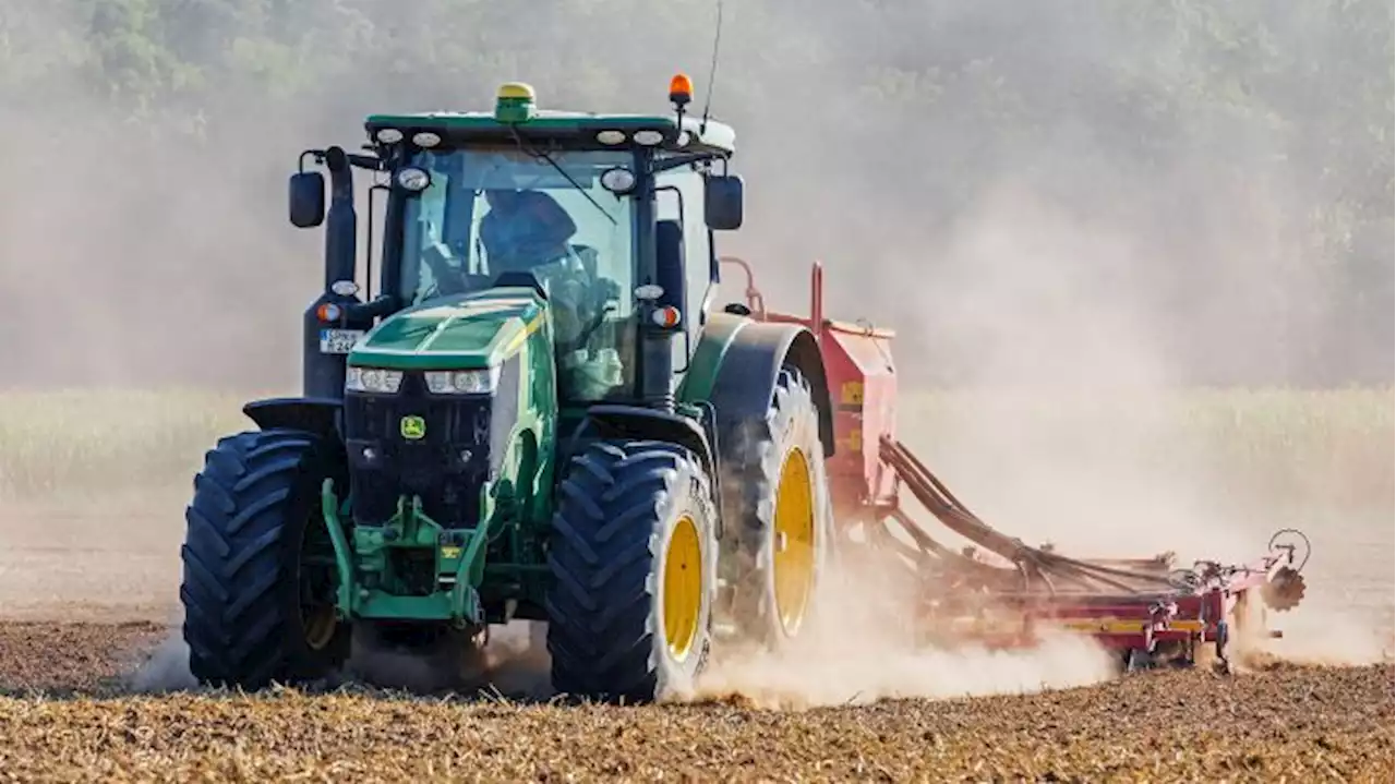 Tarifeinigung für ostdeutsche Landwirtschaft bringt starke Lohnsprünge