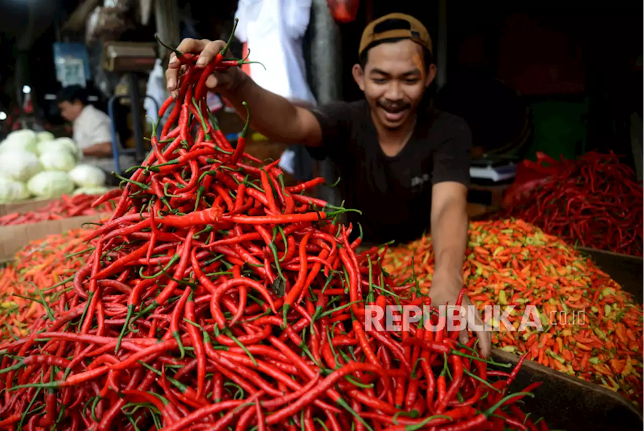 Harga Cabai di Kota Kupang Tembus Rp 150 Ribu per Kilogram |Republika Online