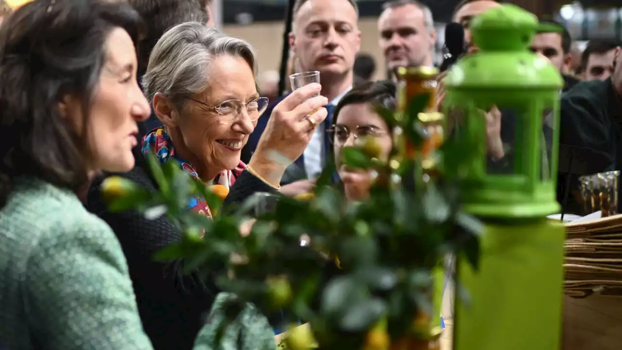 France: le baptême du feu d'Élisabeth Borne au Salon de l'agriculture