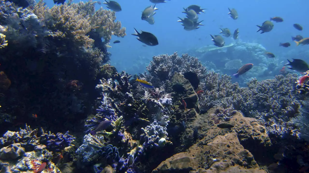 Le «World Ocean Summit», principale conférence sur l'économie marine, s'ouvre à Lisbonne