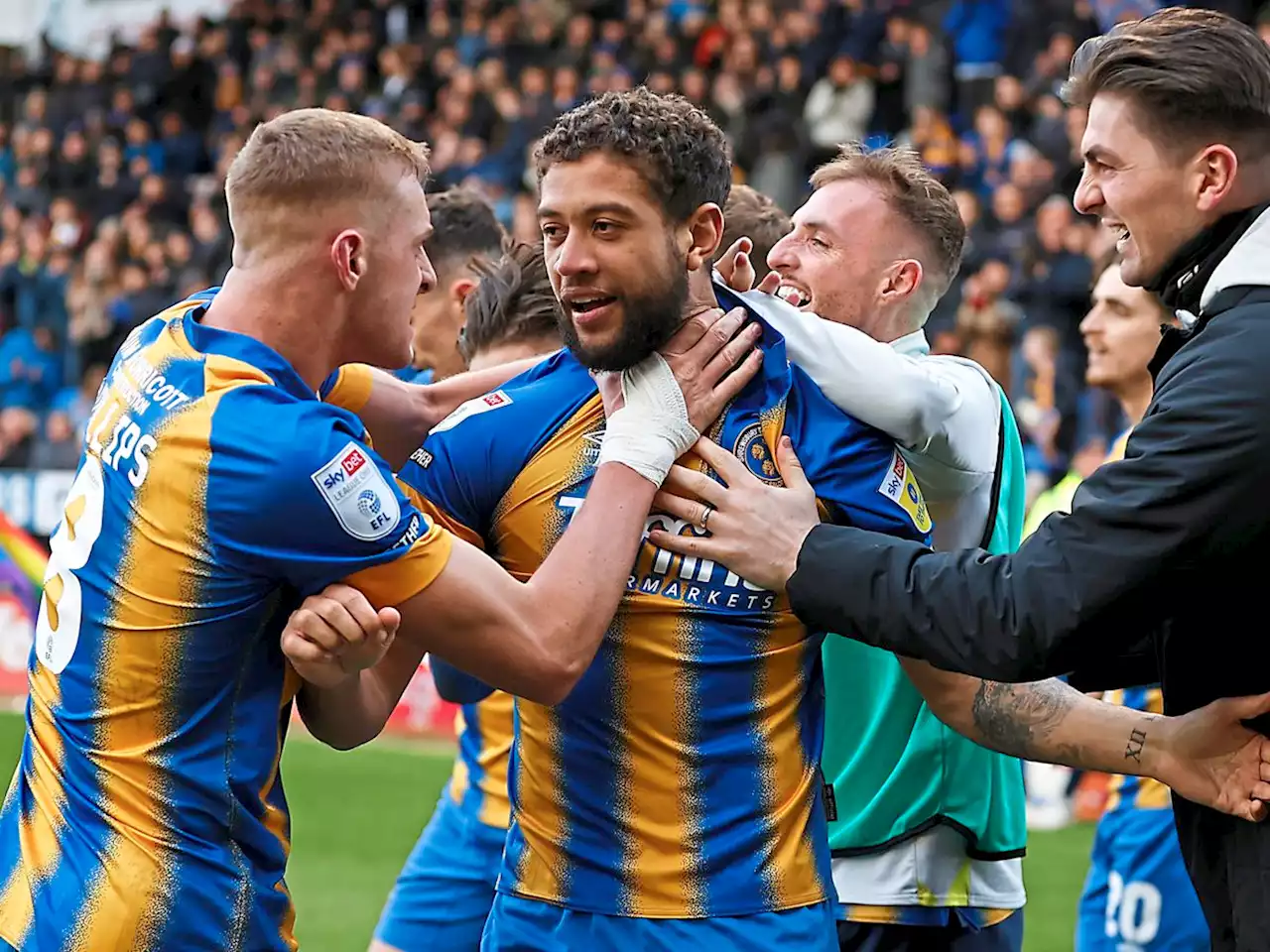 Shrewsbury Town seeing 'fruits of the labour' says boss Steve Cotterill