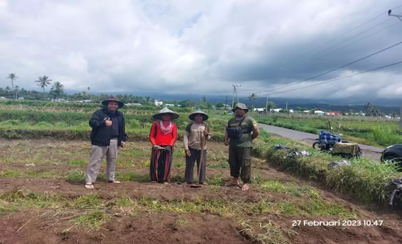 Dosen Teknik Kimia Fakultas Teknik UI Uji Coba Pestisida Tembakau terhadap Sayuran