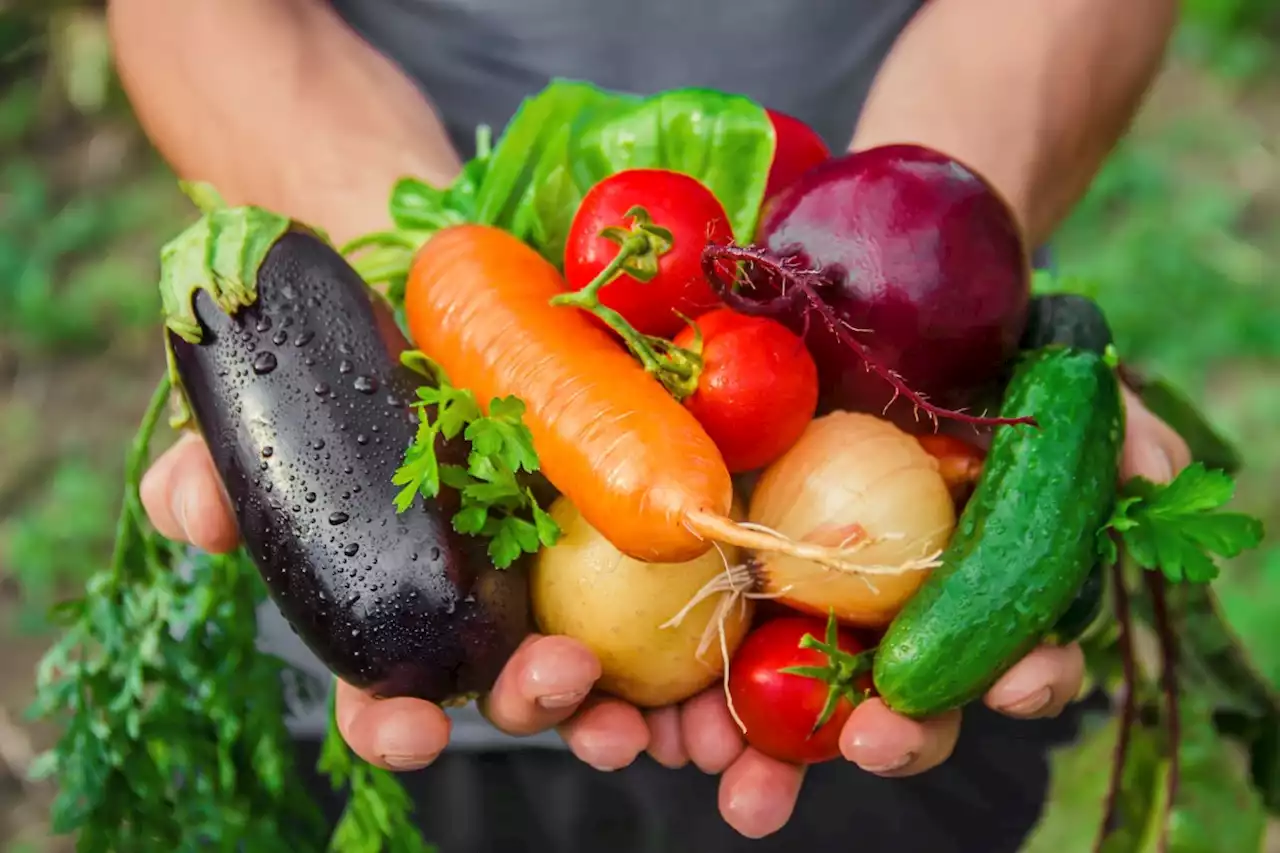 Vegetable workshop coming to Desbarats in March