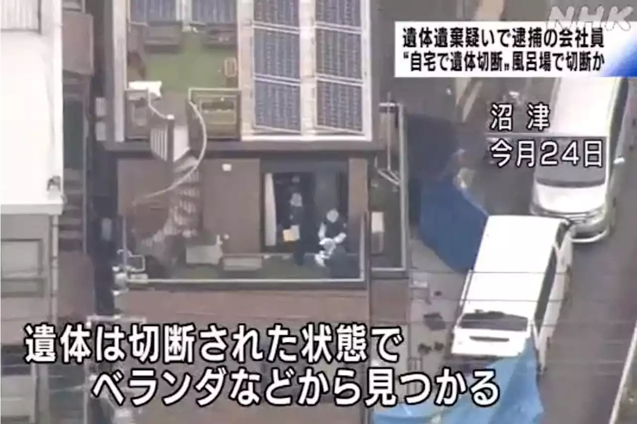 Another gruesome murder - Single mother’s dismembered body found in Japan; married man arrested