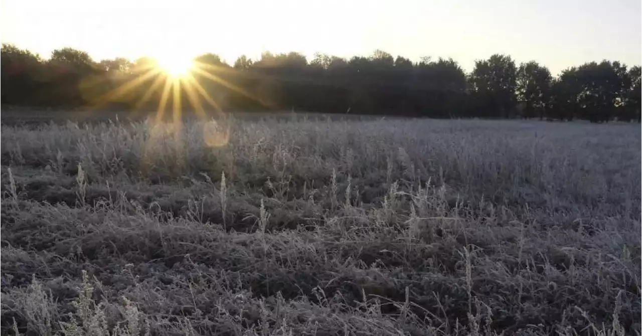 Un froid persistant mais une journée à nouveau ensoleillée: voici les prévisions météo dans votre région