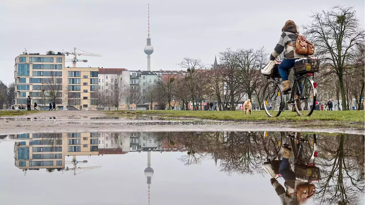 Bilanz des Deutschen Wetterdienstes: Zu warmer und feuchter Winter in Berlin und Brandenburg