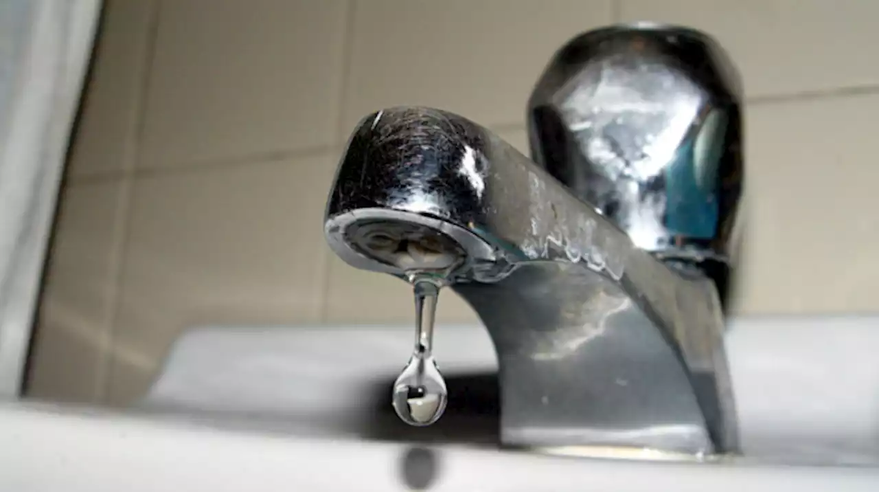 Water service restored in Mount Forest Boulevard area