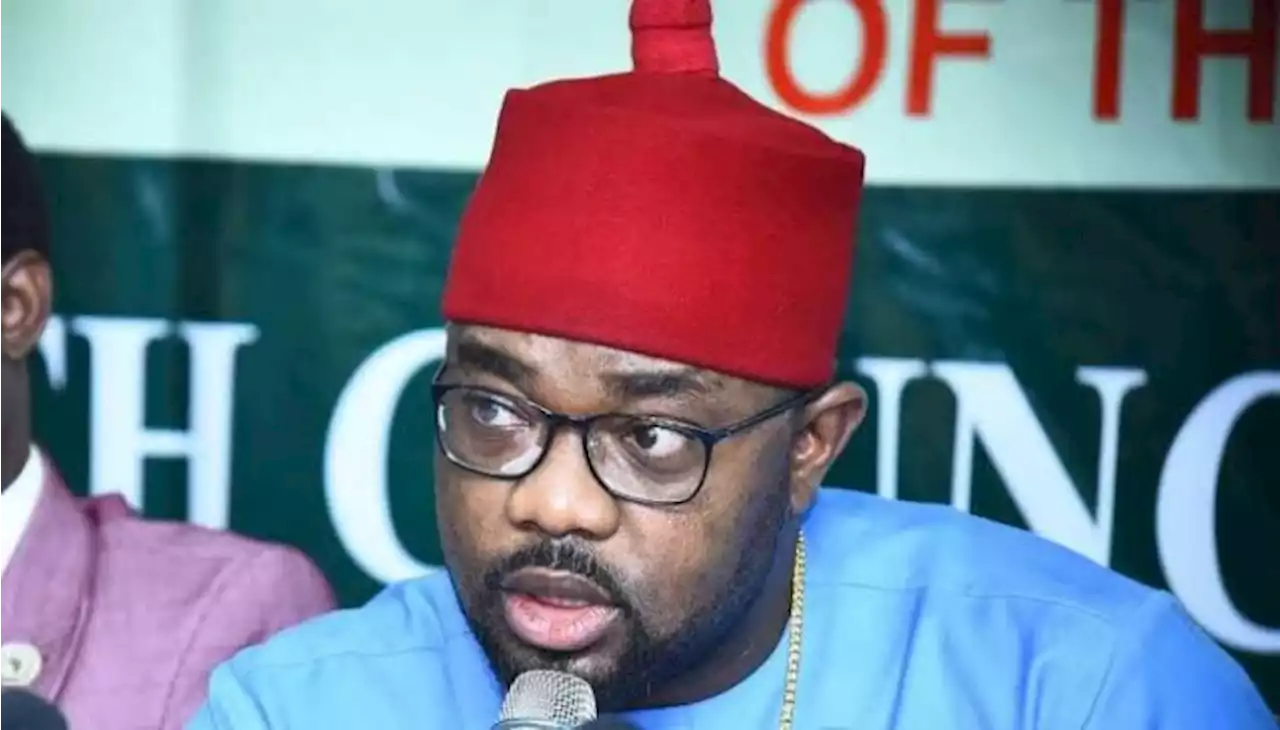 #NigeriaElections2023: CUPP spokesperson wins Imo house of reps seat | TheCable