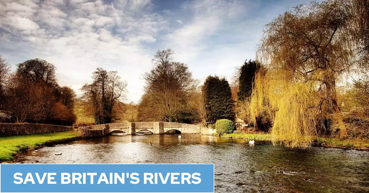 20 of the UK's dirtiest rivers, at high risk of pollution from sewage, chemicals and plastics